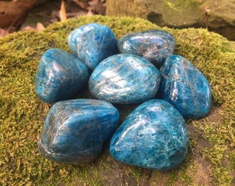 Blue Apatite ~ Large tumbled stones ~ 1.3" - 1.8"