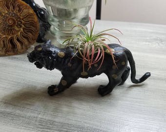 Hand Painted black and gold cat planter ~ air plant pot ~ cat toy planter