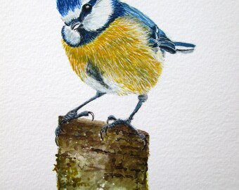 ORIGINAL watercolour painting of a Bluetit bird by Josephine Bell