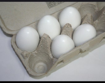 White Eggs, Wood Eggs, Easter Eggs, Chicken Eggs, Decor Eggs, Pretend Play, Dummy Eggs for Nest, Dozen Eggs, Wood Eggs, Kitchen Decor
