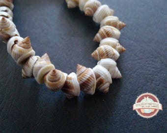 5 beige and white spiral shells ethnic 8x13mm