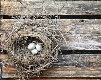 Farmhouse Chic Wall Art, Nature Photography, Modern Rustic Home Decor, Bird Nest Print, Spring Wall Decor Blue & Brown Nursery Art | 'Nest'