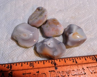 Slab Cab Lapidary Tumble Polished Botswana Agates #1