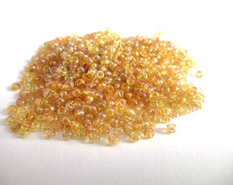 10gr France Rainbow 2mm (about 800 beads)