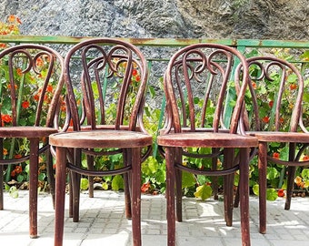 Set 6 thonet/thonet chairs Chairs Set