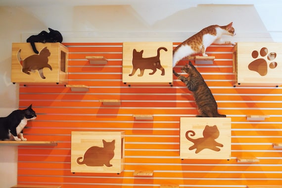 Hanging Cat Shelves