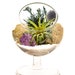 Air Plant Terrarium with Purple Amethyst Crystal / 4" Round Glass Pedestal / Shabby Chic