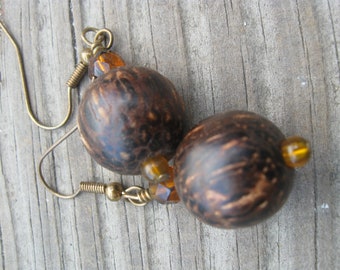 Wood and glass Earrings