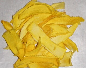 Dried Mango - 2 oz. - GREAT for you AND your dog