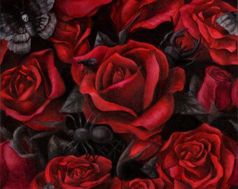 Bugs & Roses - fine art archival print - Jennifer Jacobs