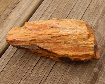 Genuine ROUGH PETRIFIED WOOD Specimen Stone - Beautiful Wood Grain Detail - Real Fossils - Healing Crystals - Gemstone Collections