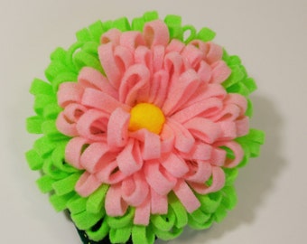 Spring Snaps, beautiful color combinations.