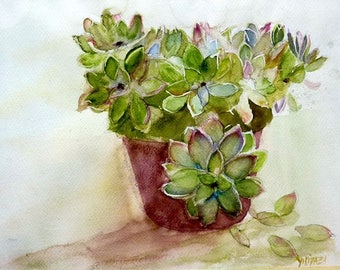 watercolor succulent plant