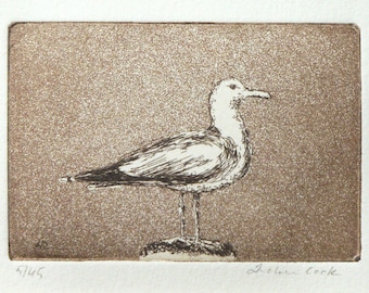 original etching and aquatint of a seagull