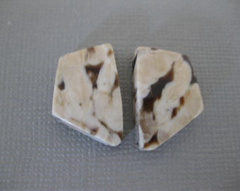 Petrified Peanut Wood Pair