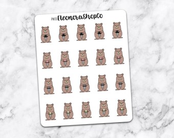 BEAR PIN en — pw33