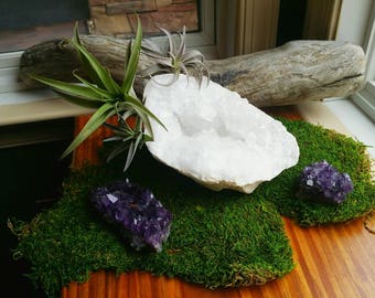 Air Plant Crystal Geode - XL | Tillandsia | Crystal Garden | Quartz | Air Plant Gift | Natural Crystal | Quartz Crystal | Large Geode
