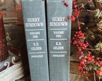 Old Books - Hurry Sundown FREE SHIPPING