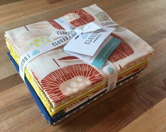 ORGANIC - FQ bundle, modern, Cloud 9, quilters cotton, Around the Block, 10 coordinated FQs