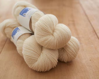 4 ply Border Leicester Yarn in Sheep