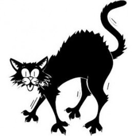 Scared Cat Die-Cut Decal Car Window Wall Bumper Phone Laptop