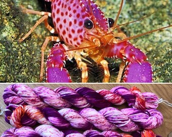 Violet Spotted Reef Lobster Miniskein 20g, merino nylon sock yarn
