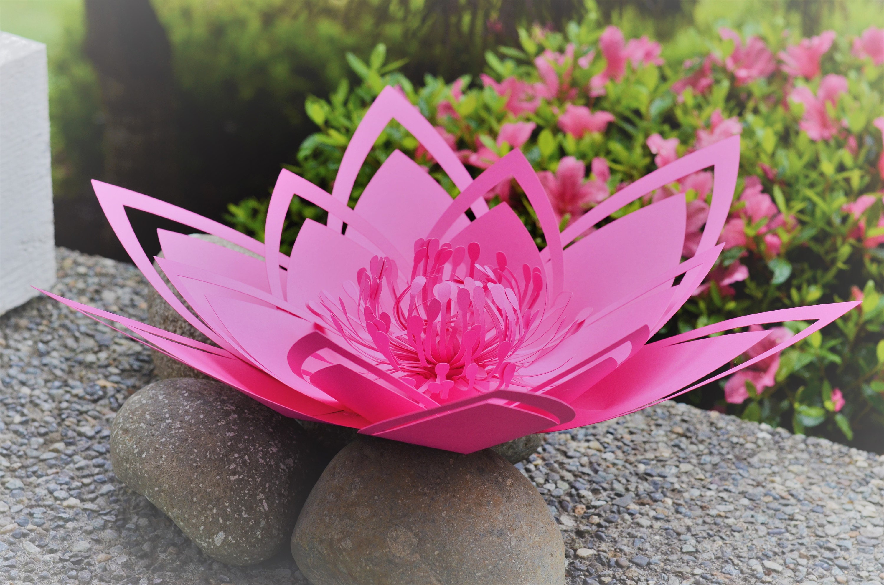 paper flower template pdf large 18 inch water lilly