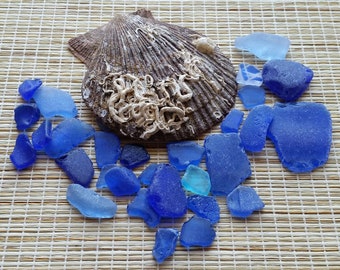 30 Cobalt Blue sea glass Bulk seaglass Rare beach glass Nautical glass For crafts, beach decor, wedding decor, sea glass art. #487#