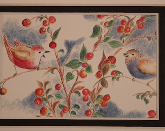 Red Robin and Blue bird illustration