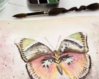 PAPILLON TRAVEL Set- Artisan Handmade Watercolor paint Set
