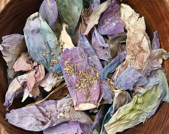 Organic Blue Lotus (Free Shipping!)
