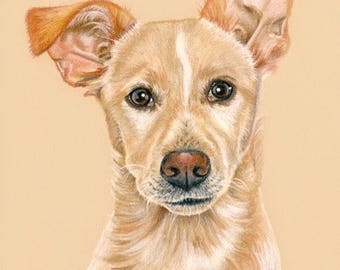 Custom Dog portrait, Pet portrait, Dog Drawing, Dog art, art by Karly Marie