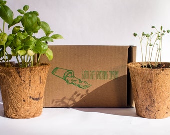 Indoor Herb Garden Kit (3 Pack) by Earth Safe Gardening Company | Basil,Parsley and Sage Seeds Mix