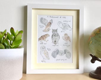 Parliament of Owls, Owl Print, Wall Art, Birds of Prey, Owl Illustration, Mounted Print