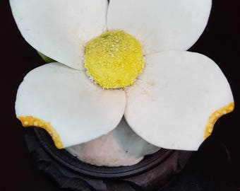 Vintage E&R Golden Crown Italy Dogwood Blossom