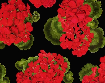 Geranium Fabric - Tossed Geraniums, Front Porch Cats - Timeless Treasures c 6382 - Priced by the 1/2 yard