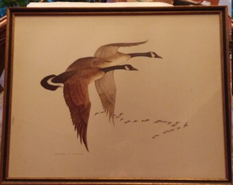 Charles E. Murphy Canadian Geese