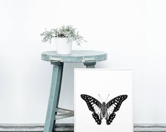 Butterfly printable - Monochrome decor - Minimalist home - Black and white wall art - Butterflies printable - Monochrome art prints