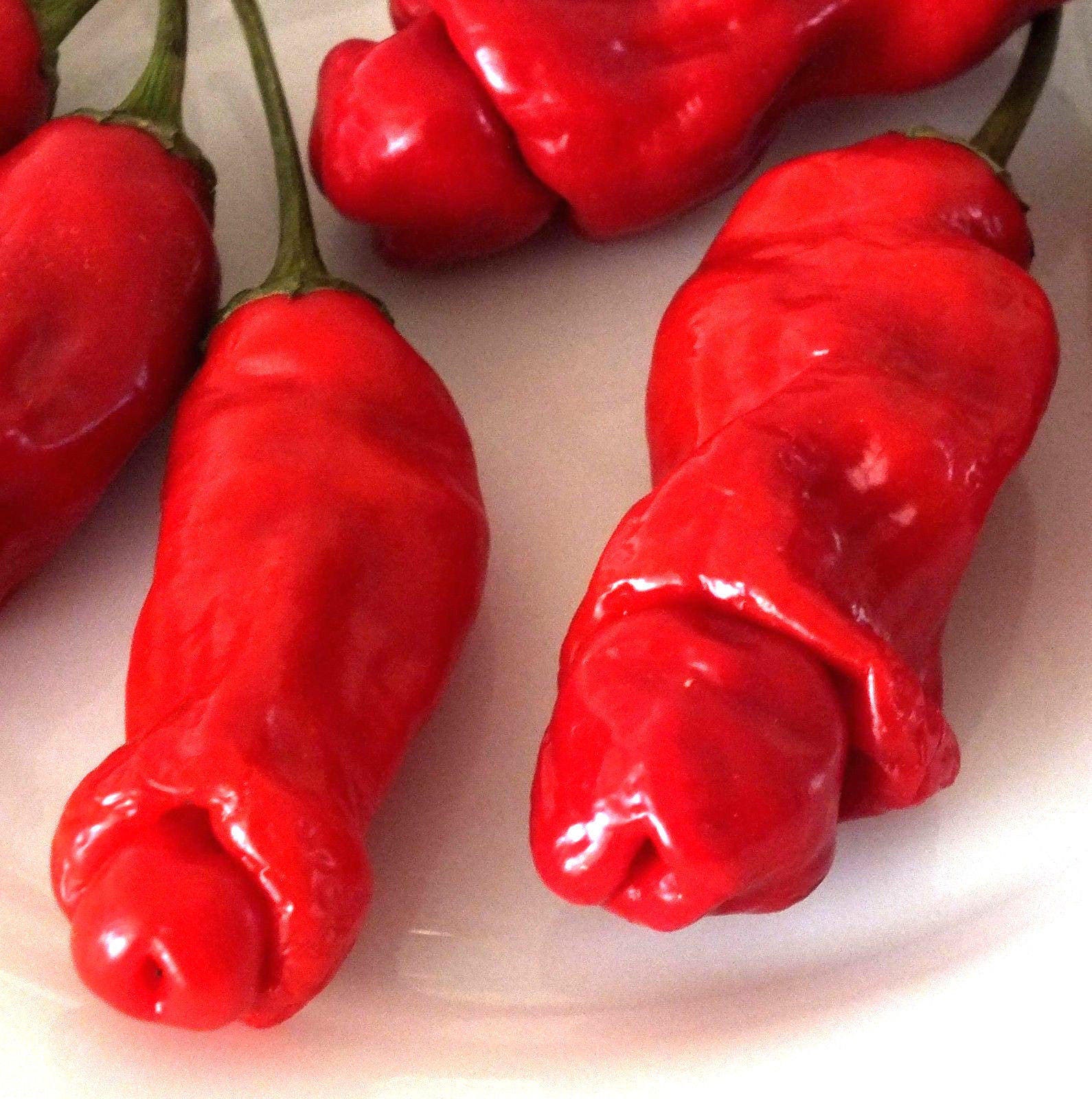 Peter Pepper Penis Chilli 30 Seeds Vegetables Genuine Uk