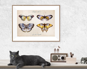 Butterfly print, Butterfly decor, Butterfly art, Butterfly poster, Insect print, Butterfly wall decor, Archival print, Home decor, Nursery