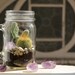 The Garden of Intuition: Medium Mason Jar Terrarium featuring Amethyst Crystal!