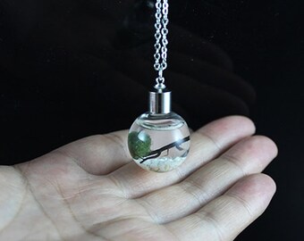 1PC Living Marimo Ball in 24.5MM Glass Orb with 80CM Necklace Chain