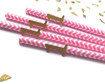 15 One Birthday Pink Straws - First Birthday Party - Birthday Straw - Birthday Girl