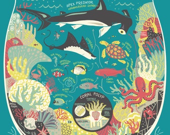 A Great Barrier Reef Ecosystem: Terrarium Art Print