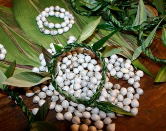 Cherokee Corn, Panya, Puʻoheʻohe, Jobʻs Tears, Maryʻs Tears.....Call Them What You Want