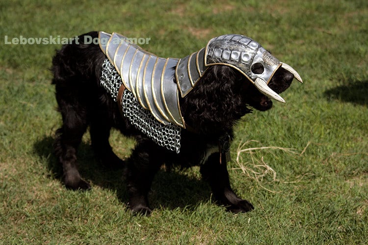 Chest Plate Dog Harness Pets At He Chest Plate Dog Harness Pets At He