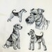 Airedale Dog Medley design - Machine Embroidered Quilt Block-3 shades of colour