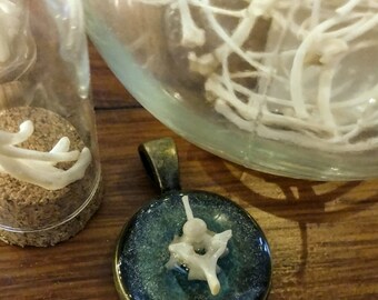 Rattlesnake vertebra pendant