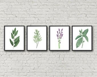 FRAMED Botanical Herb Watercolor Paintings, Kitchen Art, Fine Art Print, Herb Painting, Botanical Art, Gardener Gift, Gift for Mom, Garden