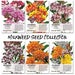 Milkweed Seed Packet Assortment (Asclepias) Non-GMO Seeds by Seed Needs